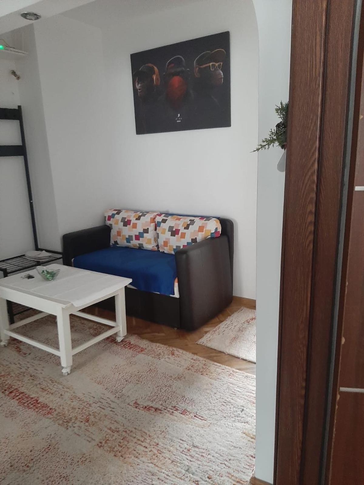 Mari&Vio Apartment Cluj-Napoca Esterno foto